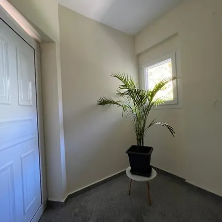 Olympian Two Floor Leptokaryá